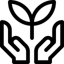 Sustainable Farming Techniques