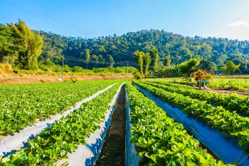 Small changes for a greener future